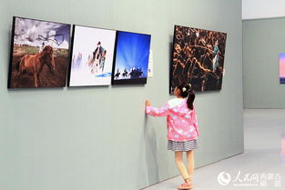 马蹄踏歌行千里——观“弘扬蒙古马精神”文艺精品创作工程系列作品展有感